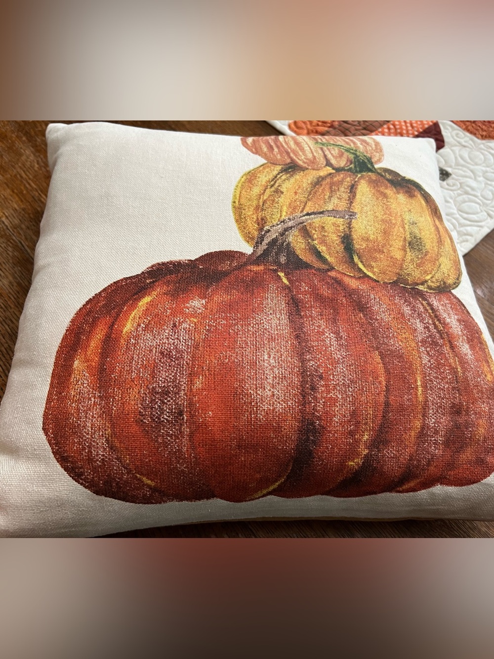 Pottery Barn Stacking Pumpkins Pillow π - Picture 9 of 13